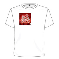 Crab T