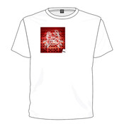 Crab T